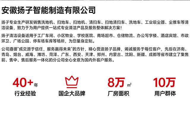 安徽揚(yáng)子智能制造有限公司